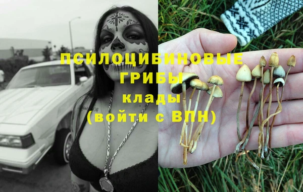 дурь Вязники