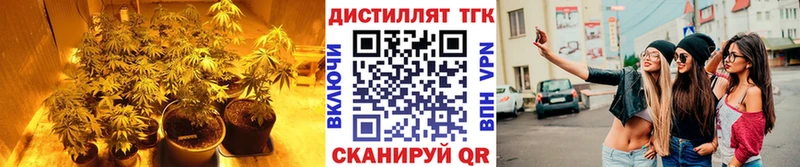 ТГК THC oil Искитим