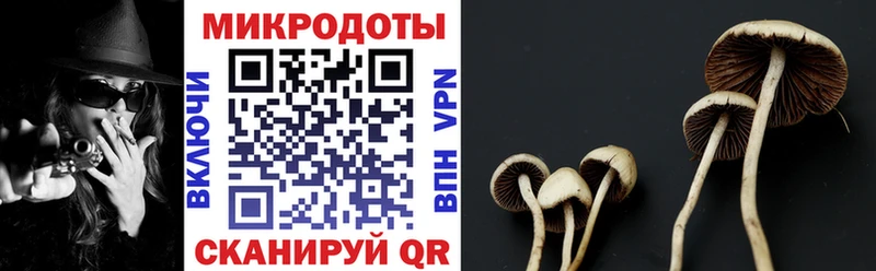shop наркотические препараты  Искитим  Галлюциногенные грибы Magic Shrooms 
